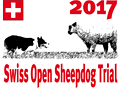 logo 17